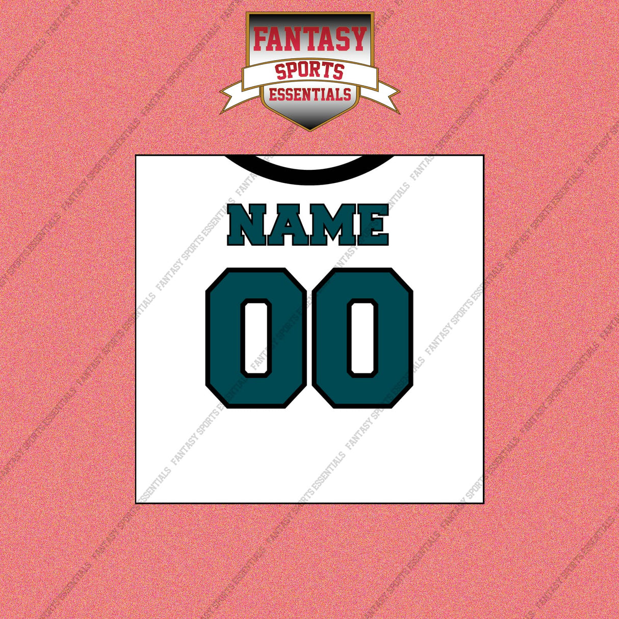 2000s Philadelphia Eagles Personalized Away Jersey Wall Art Prints