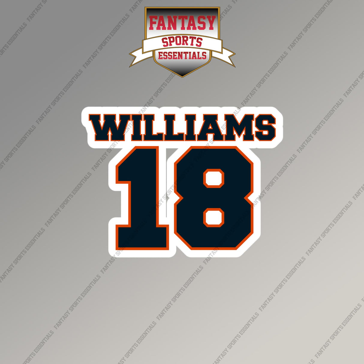 2026 Chicago Bears Name and Number Magnets