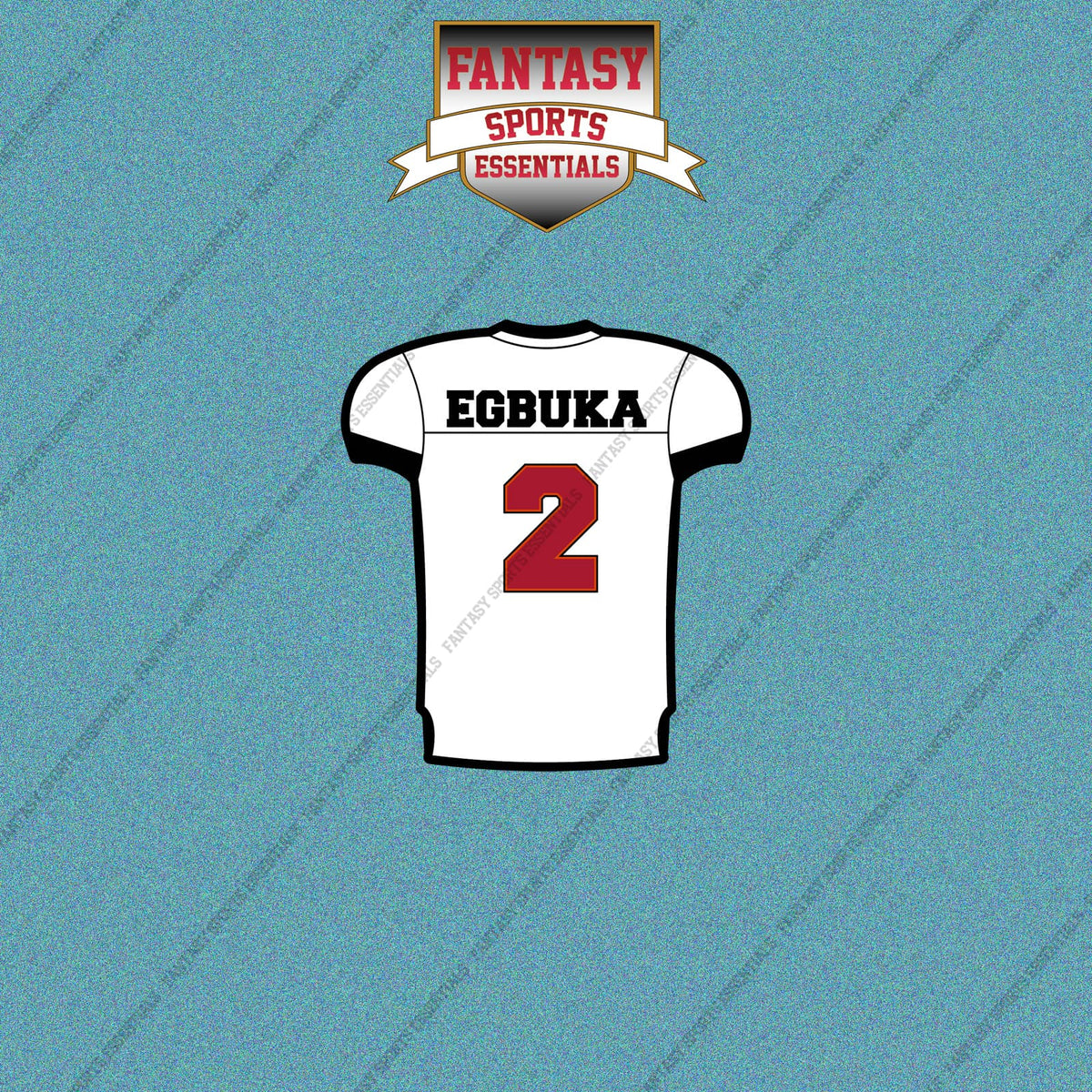 2026 Tampa Bay Buccaneers Away Jersey Car Decals