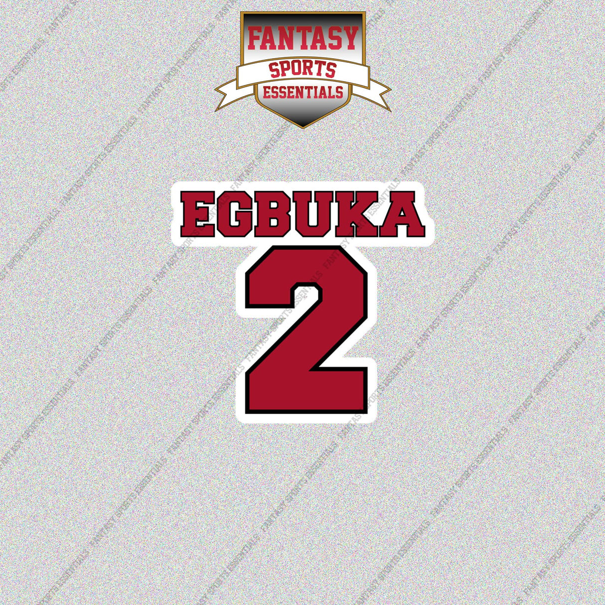 2026 Tampa Bay Buccaneers Name and Number Glossy Stickers