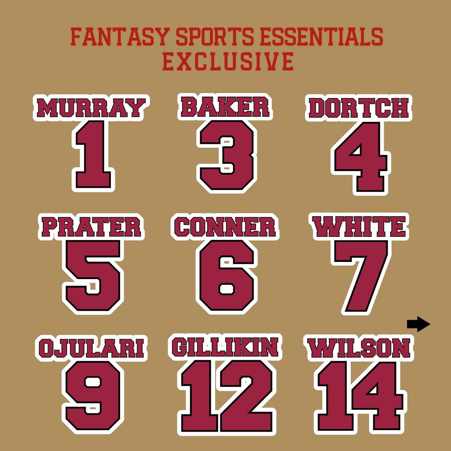 Fantasy Sports Essentials Exclusive Arizona Cardinals 2024 Name and Number Glossy Stickers Page 1