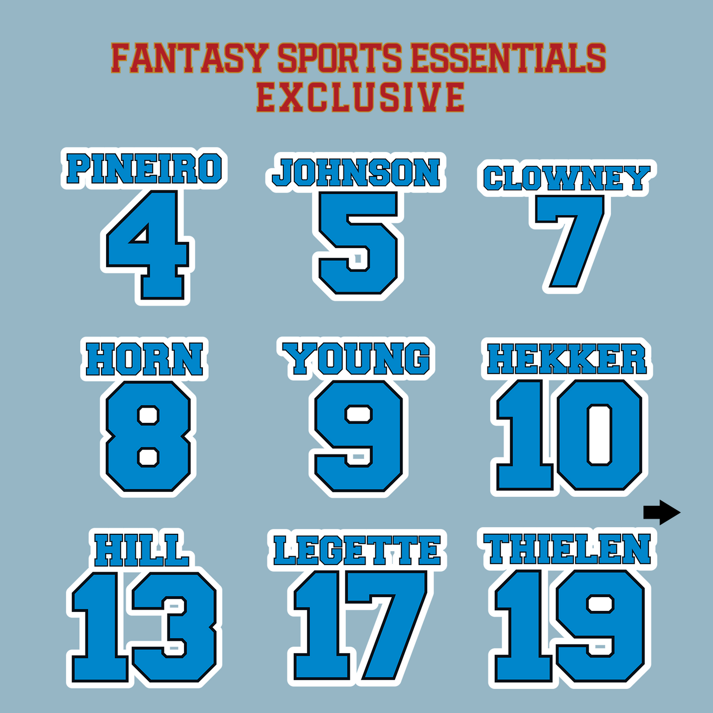 Fantasy Sports Essentials Exclusive Carolina Panthers 2024 Name and Number Matte Stickers Page 1