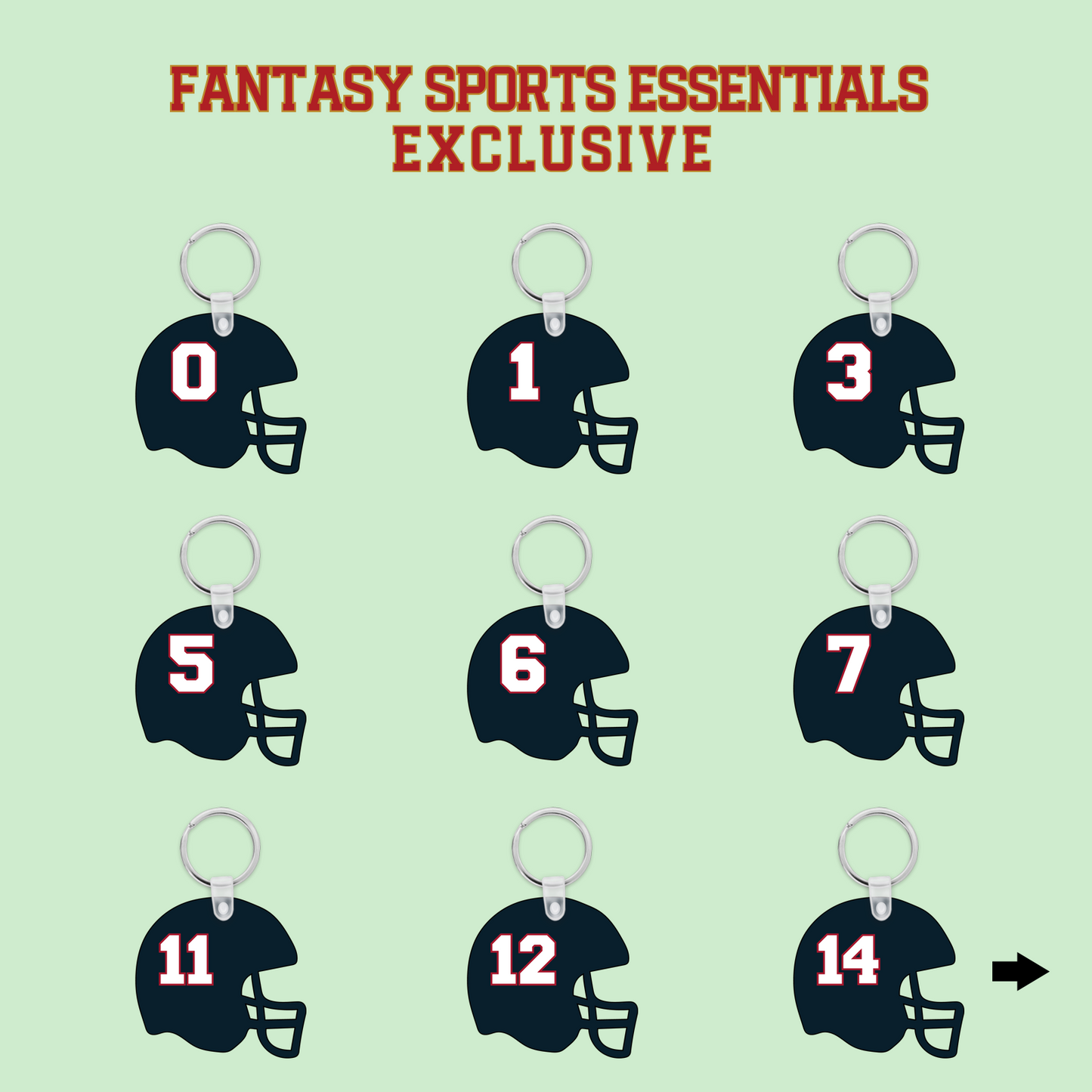 Fantasy Sports Essentials Exclusive Houston Texans 2024 Helmet Keychains Page 1