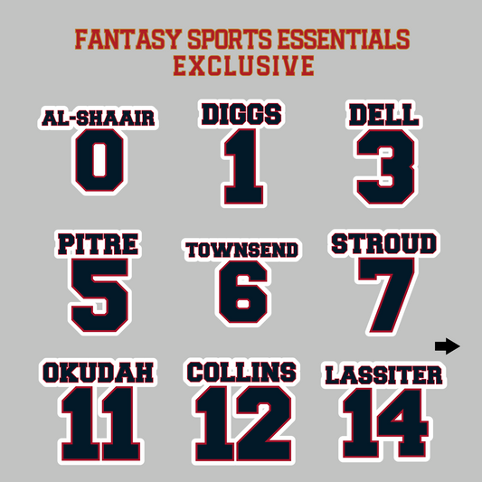 Fantasy Sports Essentials Exclusive Houston Texans 2024 Name and Number Magnets Page 1