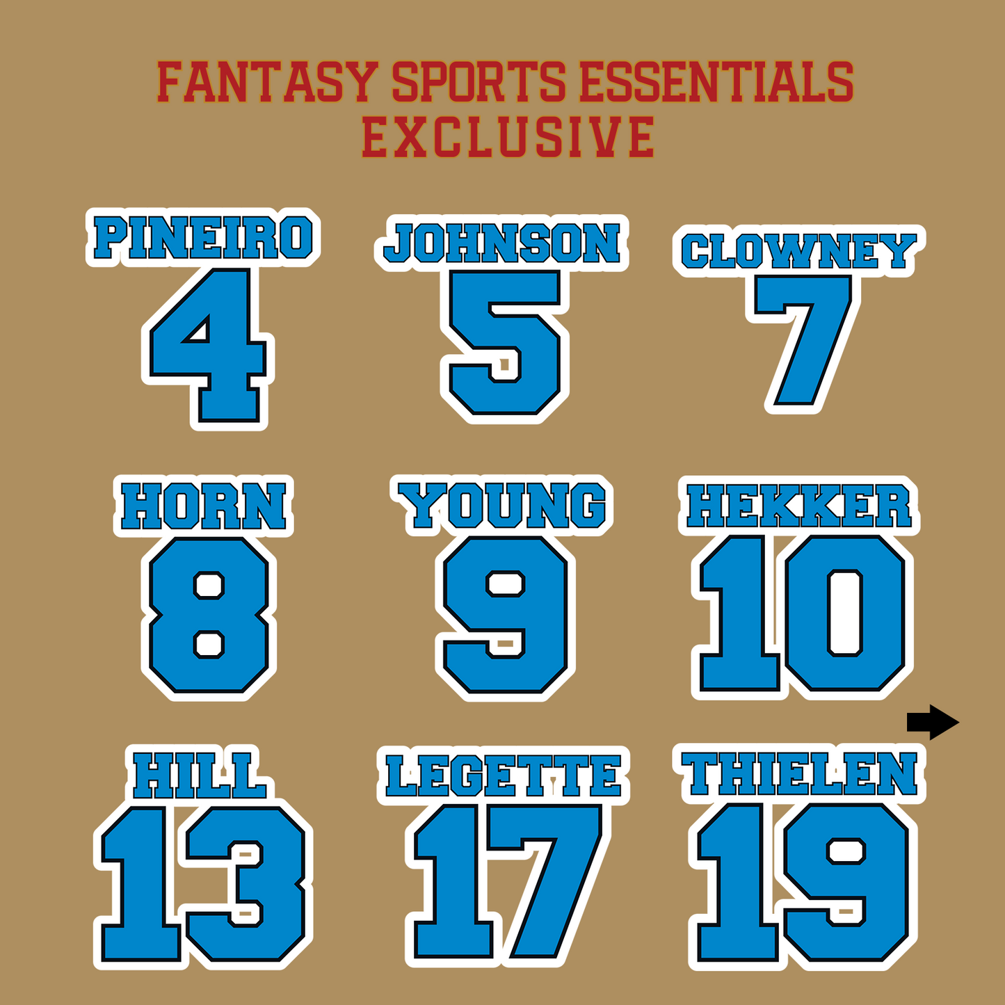 Fantasy Sports Essentials Exclusive Carolina Panthers 2024 Name and Number Glossy Stickers Page 1