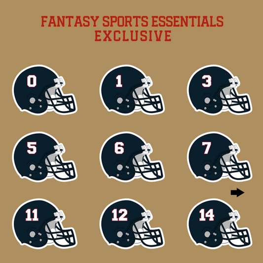 Fantasy Sports Essentials Exclusive Houston Texans 2024 Helmet Glossy Stickers Page 1