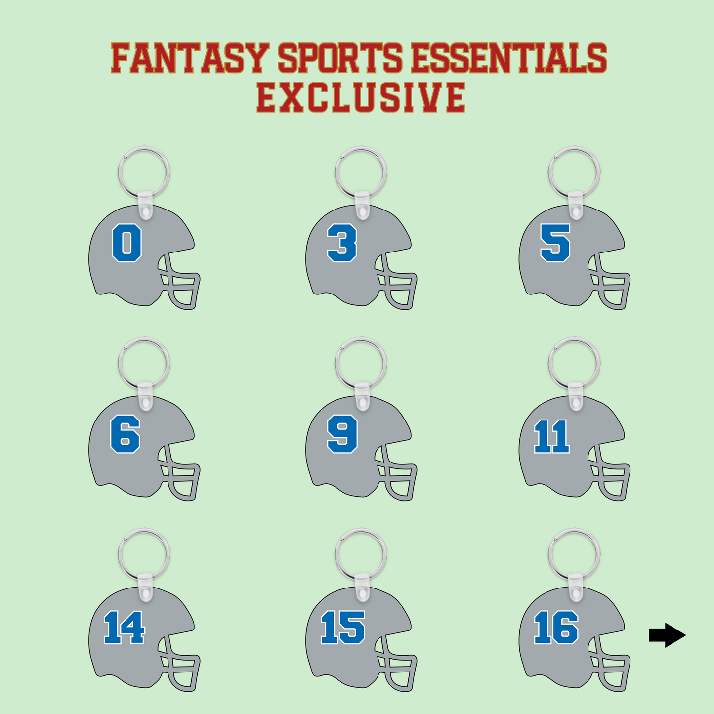 Fantasy Sports Essentials Exclusive Detriot Lions 2024 Helmet Keychains Page 1