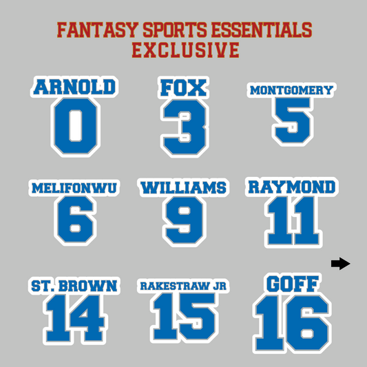 Fantasy Sports Essentials Exclusive Detroit Lions 2024 Name and Number Magnets Page 1