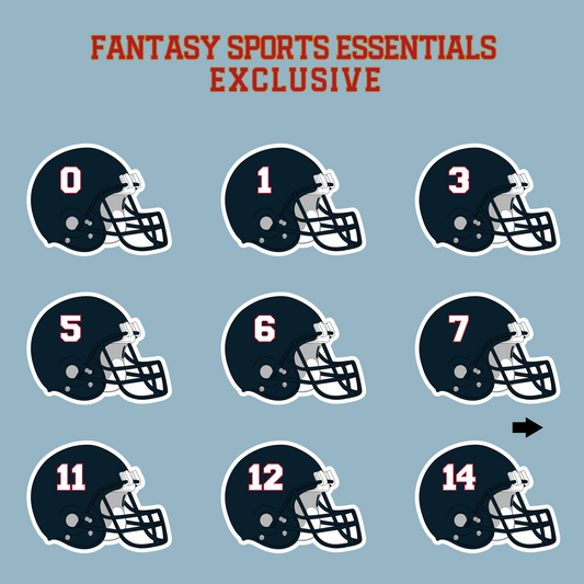 Fantasy Sports Essentials Exclusive Houston Texans 2024 Helmet Matte Stickers Page 1