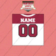 2000s Arizona Cardinals Personalized Away Jersey Wall Art Prints