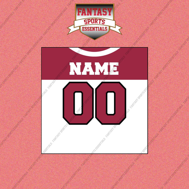 2000s Arizona Cardinals Personalized Away Jersey Wall Art Prints