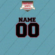 2000s Atlanta Falcons Personalized Name and Number Car Decals