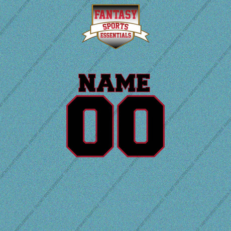 2000s Atlanta Falcons Personalized Name and Number Car Decals