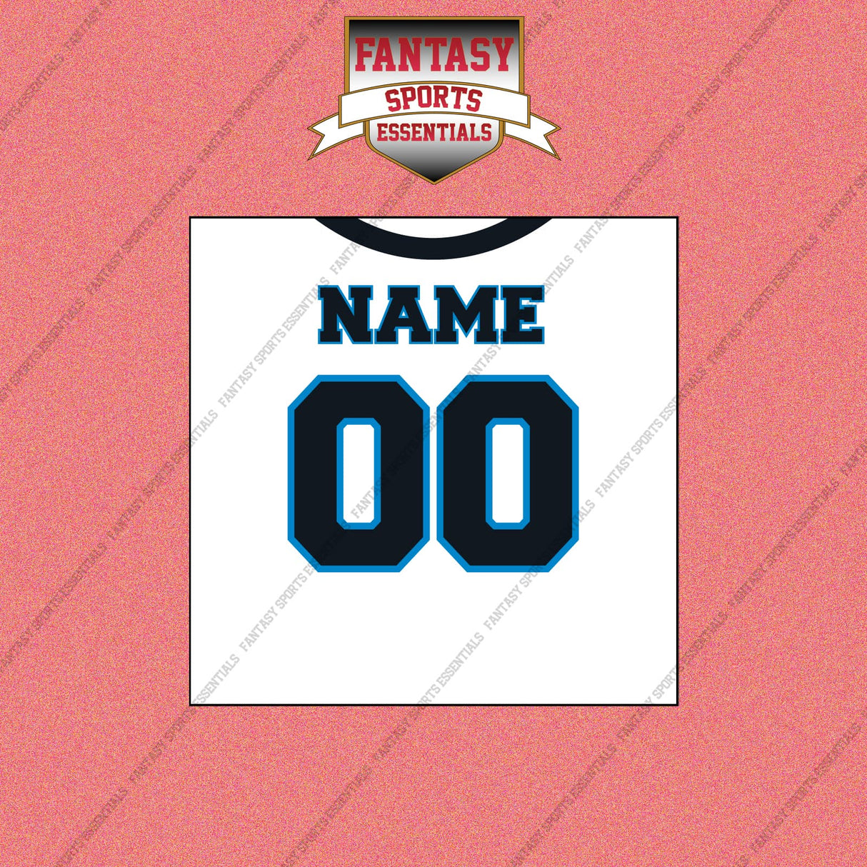 2000s Carolina Panthers Personalized Away Jersey Wall Art Prints
