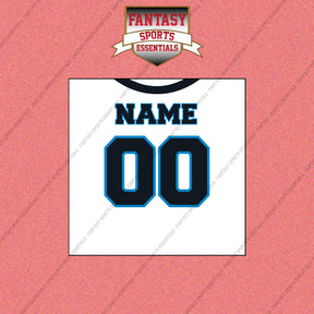 2000s Carolina Panthers Personalized Away Jersey Wall Art Prints