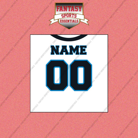 2000s Carolina Panthers Personalized Away Jersey Wall Art Prints