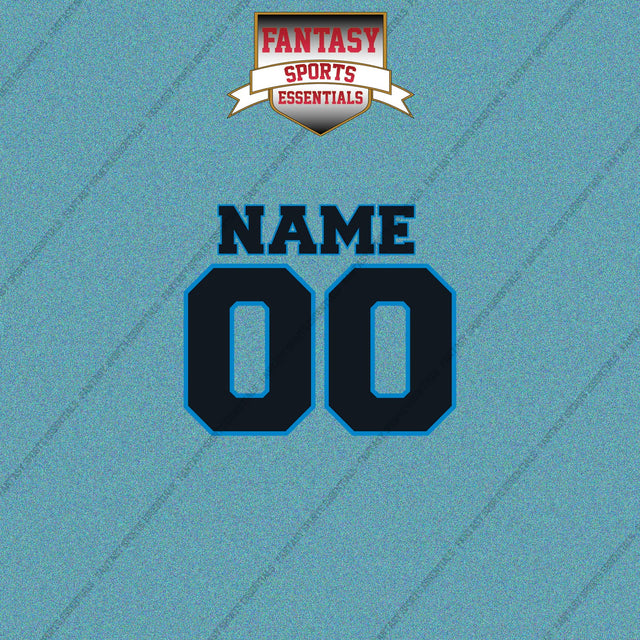 2000s Carolina Panthers Personalized Name and Number Car Decals
