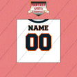 2000s Chicago Bears Personalized Away Jersey Wall Art Prints