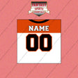 2000s Cincinnati Bengals Personalized Away Jersey Wall Art Prints