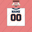 2000s Denver Broncos Personalized Away Jersey Wall Art Prints