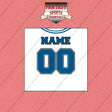 2000s Detroit Lions Personalized Away Jersey Wall Art Prints