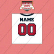 2000s Houston Texans Personalized Away Jersey Wall Art Prints
