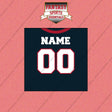 2000s Houston Texans Personalized Home Jersey Wall Art Prints