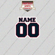 2000s Houston Texans Personalized Name and Number Glossy Stickers