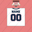 2000s New England Patriots Personalized Away Jersey Wall Art Prints