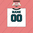 2000s Philadelphia Eagles Personalized Away Jersey Wall Art Prints
