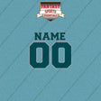 2000s Philadelphia Eagles Personalized Name and Number Car Decals