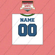 2000s Seattle Seahawks Personalized Away Jersey Wall Art Prints