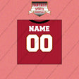 2000s Tampa Bay Buccaneers Personalized Home Jersey Wall Art Prints