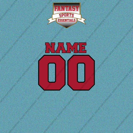 2000s Tampa Bay Buccaneers Personalized Name and Number Car Decals