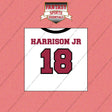2026 Arizona Cardinals Away Jersey Wall Art Prints