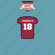 2026 Arizona Cardinals Home Jersey Car Decals