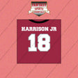 2026 Arizona Cardinals Home Jersey Wall Art Prints