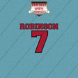 2026 Atlanta Falcons Name and Number Car Decals