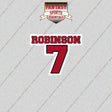 2026 Atlanta Falcons Name and Number Glossy Stickers