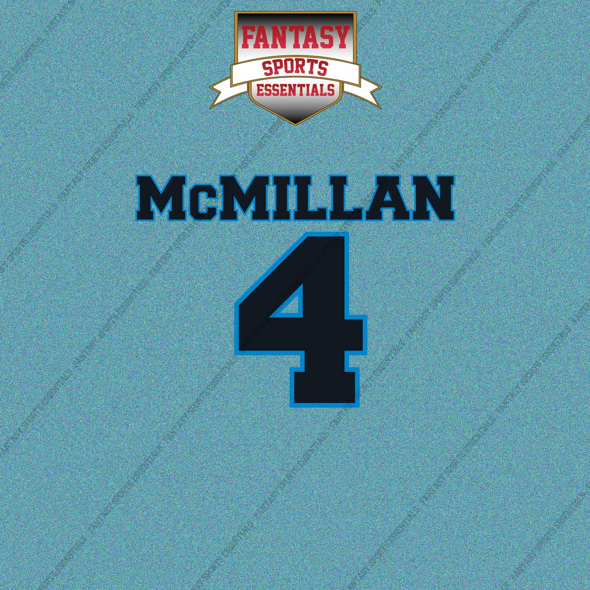 2026 Carolina Panthers Name and Number Car Decals