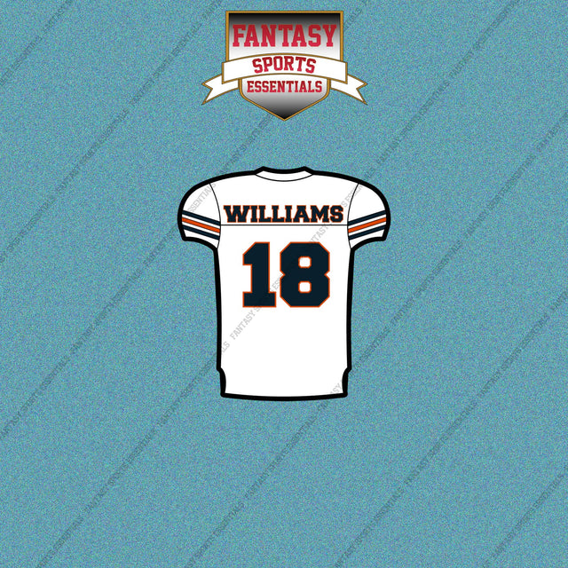 2026 Chicago Bears Away Jersey Car Decals