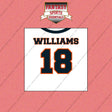 2026 Chicago Bears Away Jersey Wall Art Prints