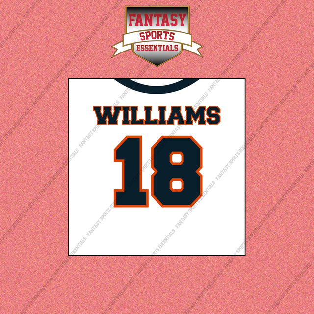 2026 Chicago Bears Away Jersey Wall Art Prints