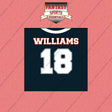 2026 Chicago Bears Home Jersey Wall Art Prints