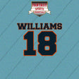 2026 Chicago Bears Name and Number Car Decals