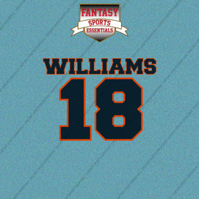 2026 Chicago Bears Name and Number Car Decals