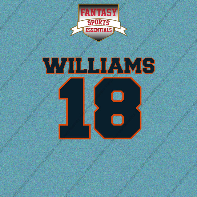 2026 Chicago Bears Name and Number Car Decals