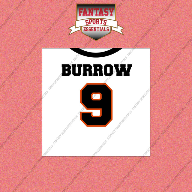 2026 Cincinnati Bengals Away Jersey Wall Art Prints