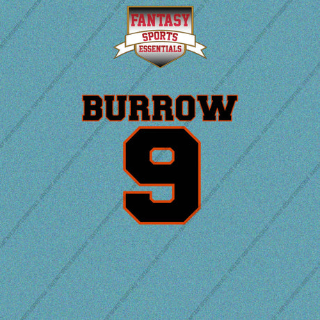 2026 Cincinnati Bengals Name and Number Car Decals