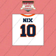 2026 Denver Broncos Away Jersey Wall Art Prints